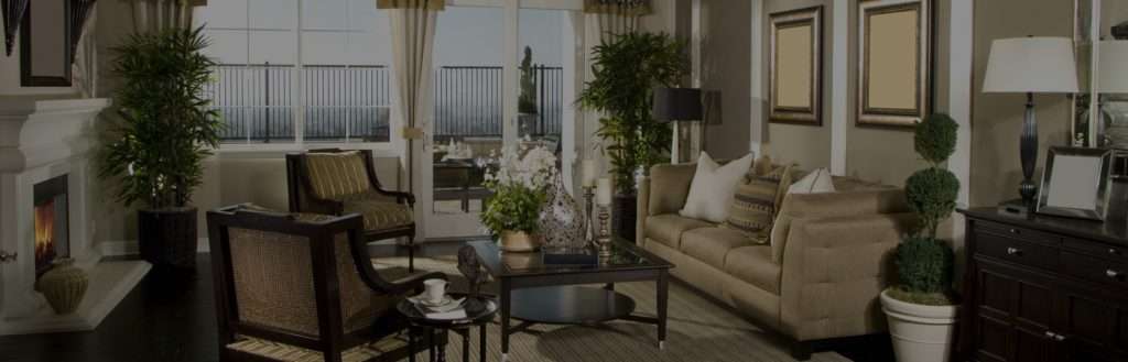 Having Your Property Professionally Photographed | Forest Lake Real Estate